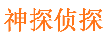 九龙坡找人公司